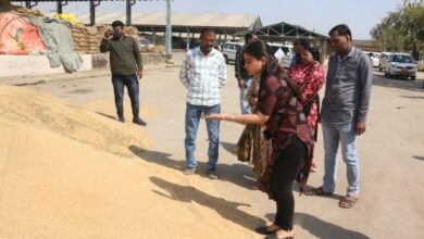 कलेक्टर ने गेहूं उपार्जन केंद्रों का निरीक्षण किया