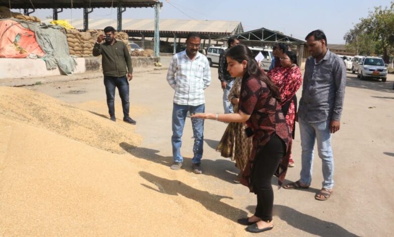 कलेक्टर ने गेहूं उपार्जन केंद्रों का निरीक्षण किया